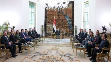 صورة توافق أمريكي مصري على حل الدولتين في فلسطين لتحقيق السلام بالمنطقة  أخبار السعودية