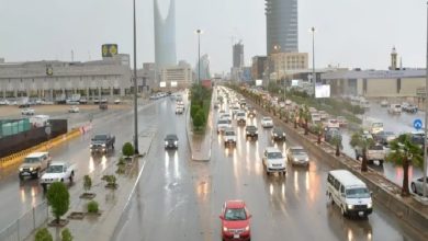 صورة أمطار رعدية ورياح مثيرة للأتربة على عدة مناطق