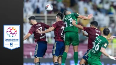 صورة دوري أدنوك الإماراتي: الوحدة وشباب الأهلي 33