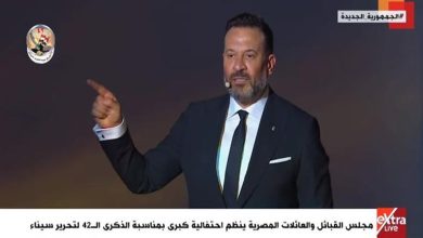 صورة ماجد المصري ومنذر رياحنة وعصام السقا يشاركون في الاحتفال بعيد تحرير سيناء