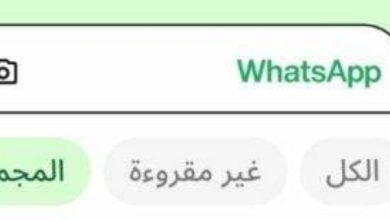 صورة «فلاتر الدردشة».. ميزة جديدة لـ«واتساب»  أخبار السعودية