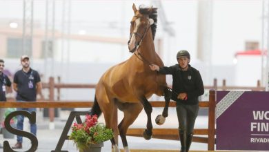 صورة «المسار الرياضي».. راع رياضي لبطولة كأس العالم لقفز الحواجز والترويض 2024