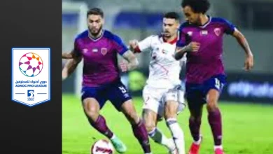 صورة دوري أدنوك الإماراتي (18): الشارقة يستقبل الإمارات