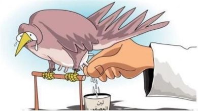 صورة ما أصل “لبن العصفور”؟.. لن تتوقع حكايته