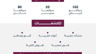 صورة هيئة التراث تُسجّل 202 موقع أثري جديد بالسجل الوطني للآثار  أخبار السعودية