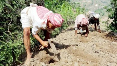 صورة الحوثي يتاجر بالقتل.. و«مسام» طوق نجاة  أخبار السعودية