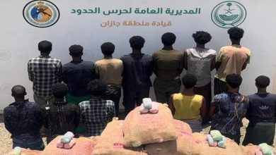 صورة حرس الحدود بجازان يحبط تهريب 75 كيلوجرامًا من نبات القات المخدر