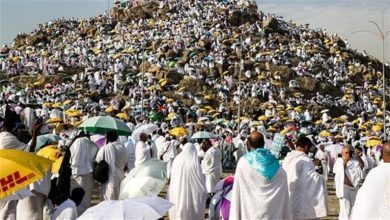 صورة التضامن: حجاج الجمعيات الأهلية يواصلون أداء المناسك والبعثة توفر كافة الخدمات