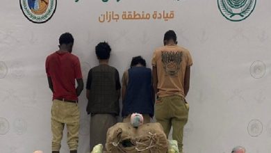 صورة حرس الحدود بجازان يقبض على (4) مخالفين لتهريبهم (90) كيلوجرامًا من القات المخدر