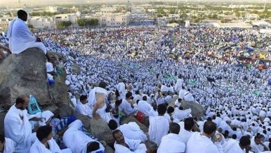 صورة مصر تسحب رخص 16 شركة سياحة تحايلت لتسفير الحجاج بصورة غير نظامية