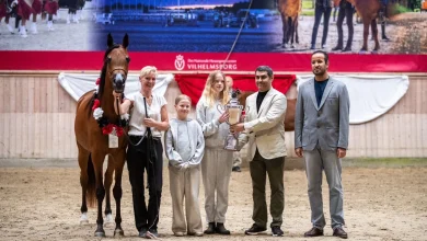 صورة برعاية منصور بن زايد.. اختتام البطولة الـ 5 لكأس الإمارات العالمي لجمال الخيل العربية بالدنمارك