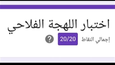 صورة خبير: ترند اللهجة الفلاحي يضعف الوعي الأمني لمستخدمي الإنترنت