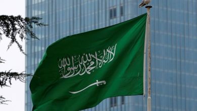 صورة السعودية تقود العالم في علاج اعتلالات الدم الوراثية باستخدام تقنية «كاسكيفي» الجينية  أخبار السعودية