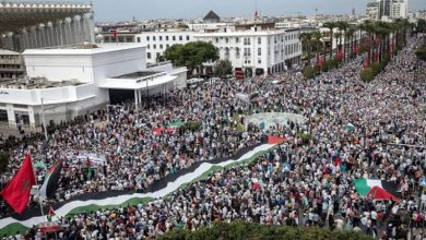 صورة الدار البيضاء تحتفي بانتهاء العدوان على غزة.. مسيرات ومهرجانات حاشدة