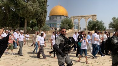 صورة مستعمرون يقتحمون المسجد الأقصى – سما الإخبارية