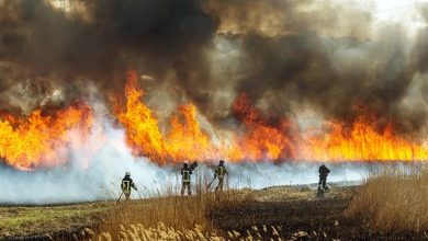 صورة دراسة متشائمة: الطقس المتطرف سيزداد قوة جنونا خلال الـ 20 سنة المقبلة