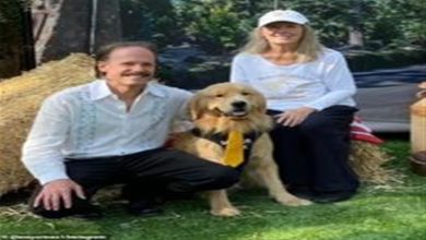صورة 20 صورة لأغرب مدينة.. عدد سكانها 4 آلاف شخص وعمدتها كلب