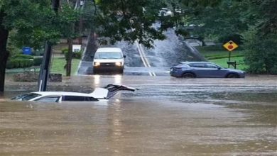 صورة على الهواء مباشرة.. مراسل ينقذ امرأة من الغرق وهذا ما حدث (فيديو)