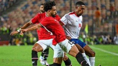 صورة شقيقان مع الرأس الأخضر ضد منتخب مصر.. ما القصة؟