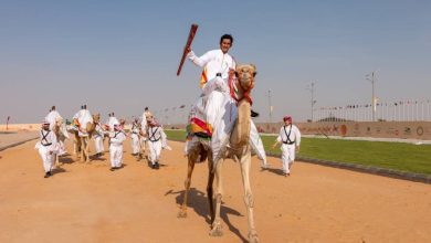 صورة 40 شوطاً و4 كؤوس في مهرجان ولي العهد للهجن.. غداً  أخبار السعودية