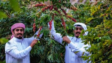 صورة “ريف السعودية” ينظم رحلة ميدانية لتعزيز جودة البن واستكمال تصنيف أشجاره