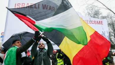 صورة بلجيكا تعتزم الاعتراف بفلسطين وتطالب برفع الحصار عن غزة ..