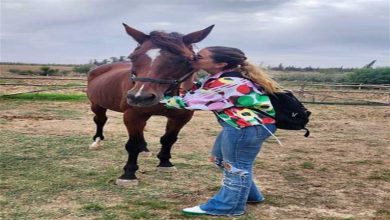 صورة عائشة بن أحمد تنشر صورا مع “الخيل”.. والجمهور يعلق