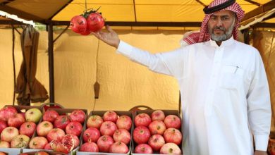 صورة سراة عبيدة: افتتاح مهرجان الرمان  أخبار السعودية