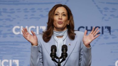 صورة الانتخابات الأمريكية تغرق في مستنقع الأخبار المزيفة  أخبار السعودية