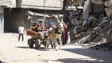 صورة هيومن رايتس ووتش”: إسرائيل مسؤولة عن نزوح قسري لفلسطينيي غزة يشكل جرائم حرب