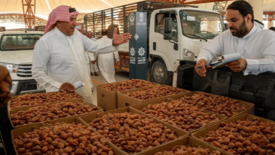 صورة التمور في الأحساء.. محصول زراعي ارتبط بالإرث الثقافي والاجتماعي