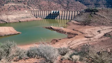 صورة سدود أم الربيع تنتعش بوصول 165 مليون متر مكعب من المياه بعد التساقطات الأخيرة