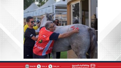 صورة سلاسة تنظيمية وسط مشاركة واسعة من الإسطبلات والفرسان .. الاتحاد الملكي ينظم الفحص البيطري.. والجمعة السباق الدولي والمحلي