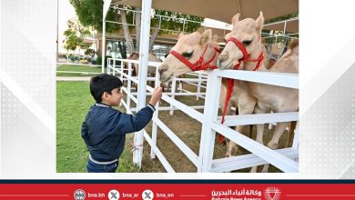 صورة “مراعي 2024” يتألق في يومه الثاني مع عروض مميزة وسط إقبال جماهيري واسع