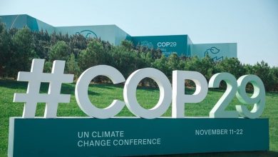 صورة المنظمة العالمية للاقتصاد الأخضر تعلن أجندة مشاركتها في COP29