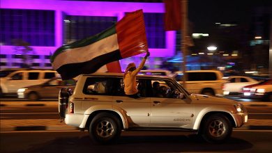 صورة 14 سلوكاً ممنوعاً.. الضوابط القانونية لتزيين المركبات خلال عيد الإتحاد