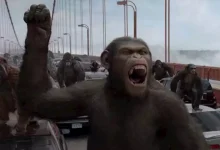 صورة على طريقة فيلم “Rise of the Planet of the Apes”.. هروب قردة من معمل أبحاث في أمريكا