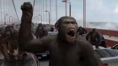 صورة على طريقة فيلم “Rise of the Planet of the Apes”.. هروب قردة من معمل أبحاث في أمريكا