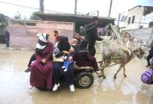 صورة الجوع يفتك بغزة.. و«الأونروا»: الفلسطينيون يأكلون من النفايات  أخبار السعودية