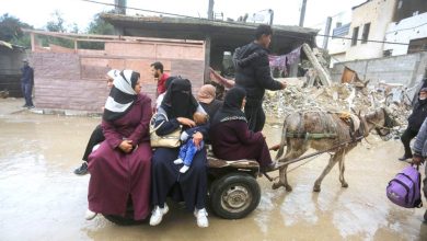 صورة الجوع يفتك بغزة.. و«الأونروا»: الفلسطينيون يأكلون من النفايات  أخبار السعودية