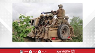 صورة الجيش الصومالي يعلن القضاء على عناصر من حركة الشباب الإرهابية جنوب البلاد