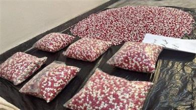 صورة الجمارك: ضبط 60 ألف كبسولة «لاريكا» في الجمرك الجوي