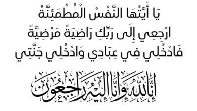صورة وفيات يوم الخميس الموافق 28 نوفمبر 2024