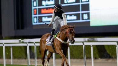 صورة نادي سباقات الخيل ينظّم الأسبوع السابع من موسم سباقات الرياض