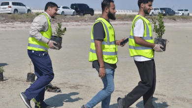 صورة تدشين مبادرة زراعة 100 ألف شجرة مانجروف بالقطيف