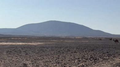 صورة جبل “أقرن”.. معلم بارز لقصر دوقرة الأثري بمحافظة طريف