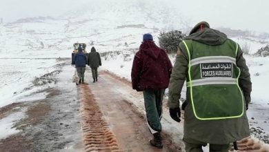 صورة وزارة الصحة تطلق حملة « رعاية » في المناطق المتضررة من موجات البرد 