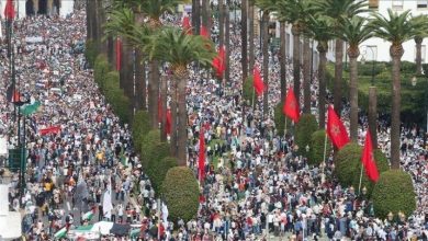 صورة 114 مظاهرة في 58 مدينة دعما لغزة ضد الإبادة الإسرائيلية