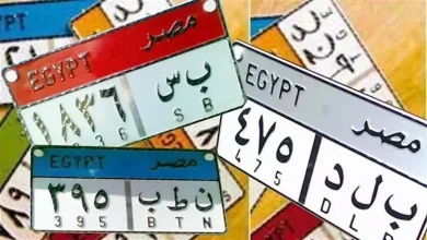 صورة “عبد” و “سبع” و “نمر”.. لوحات سيارات مميزة للبيع بأعلى سعر (التفاصيل)