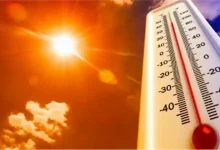 صورة هؤلاء الفئات تتأثر بالحرارة أكثر من غيرها